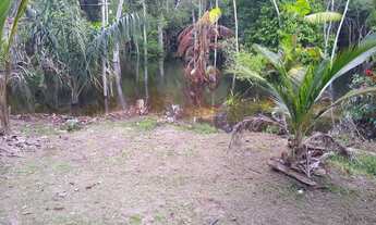 Imagem 3: Sítio lindo 100x200 Novo Paraíso