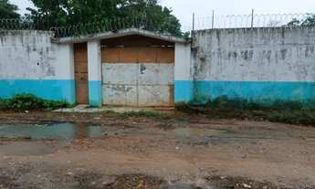 Imagem 7: Terre na reserva do Itapiraco