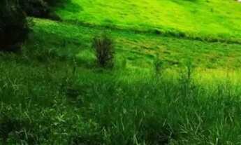 Imagem 3: AREA - PARQUE DOS JACARANDÁS - SP