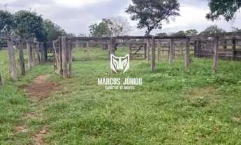 Imagem 7: FAZENDA NA REGIÃO DE SÃO FRANCISCO DE 1000 HECTARES PARA PECUARIA NORTE DE MINAS