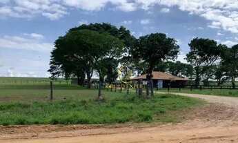 Imagem 4: Fazenda 15.000 hectares a venda em Itiquira em Mato Grosso!