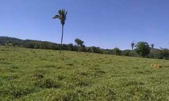 Imagem 6: Fazenda em Paracatu MG de 213 hectares com 70 hectares de área plana ideal para criação de