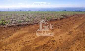 Imagem 3: Fazenda com 126 Alqueires em Cana-de-Acúçar na cidade de São Simão