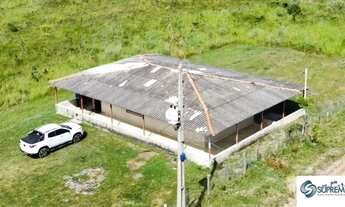 Imagem 6: CHACARA 8,39 HECTARES NÚCLEO RURAL TAGUATINGA - SAMAMBAIA NORTE