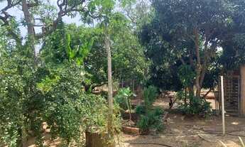 Imagem 6: Sitio rural 19.000m² com excelente casa, muito verde, ótima localização, Jaboticatubas