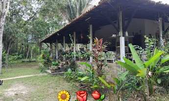 Imagem 5: LINDA CHÁCARA Chácara com venda por R$230.000