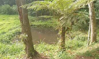 Imagem 3: Chacara apenad 2,5 do asfalto 150 mil rrais