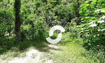 Imagem 3: Terreno à venda, 9488 m² por R$ 650.000,00 - Mata Paca - Niterói/RJ