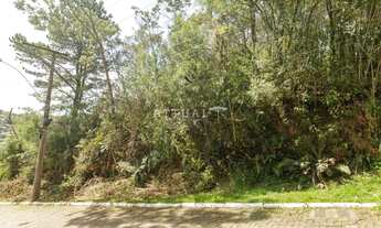 Imagem: TERRENO EM GRAMADO