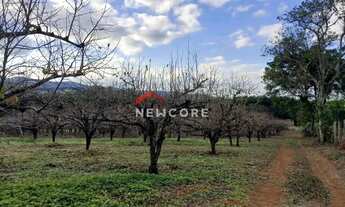 Imagem 3: Sítio em Rua Carmela Paladino Petti - Chácara Santa Cruz dos Pires - Itatiba/SP