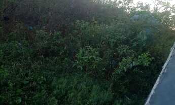 Imagem 3: Vendo terreno no guajara 7 po 25 na rua 1 próximo a antiga delegacia