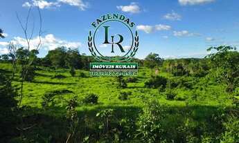 Imagem 4: Fazenda-Chácara 13 Alqueires Próximo Paraiso