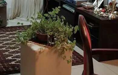 Imagem 3: Alugo quarto mobiliado bairro água verde p mulher