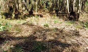 Imagem: Sitio taiacupeba com 20mil m2 escritura