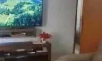 Imagem 7: Casa para venda na Guanabara