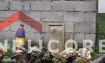 Imagem 5: Lote em Rua Maçaranduba - Alves Dias - São Bernardo do Campo/SP