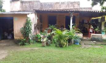 Imagem: Fazenda com 45 ha para gado no JAPÚ municipio