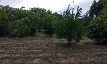 Imagem 7: Sitio no Soturno em Teresina-PI