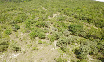 Imagem 4: Chácara 5.000 m2 Serra das Areias Aparecida de Goiânia