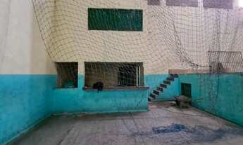 Imagem 5: Vinhedo - Galpão/Depósito/Armazém - Santa Rosa