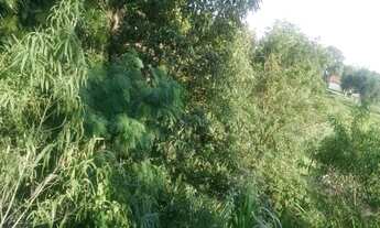 Imagem 2: Terreno à venda em Vinhedo