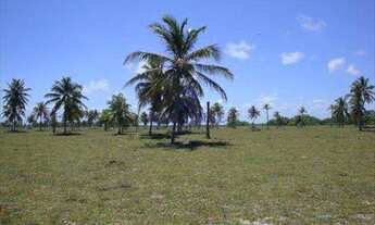 Imagem 6: Área frente mar, Conde - Bahia - R$ 2.600.000,00, 436.000m²