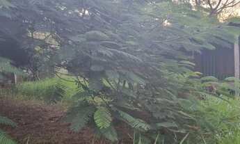 Imagem 3: Sítio com casa simples em Águas claras, somente 1 km do asfalto