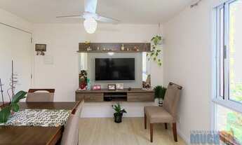 Imagem 6: Canoas - Padrão - Mato Grande