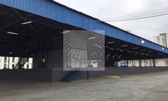 Imagem 13: SÃO PAULO - Galpão/Depósito/Armazém - VILA LEOPOLDINA