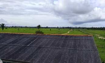 Imagem 7: Fazenda 396 alqueires Alto Paraíso