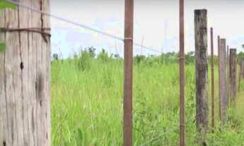 Imagem 7: Chácara à venda em Nova Brasilândia/MT