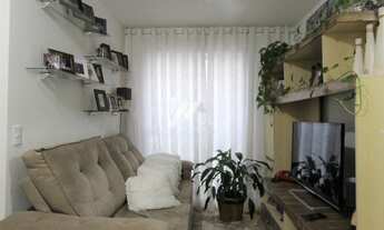 Imagem 3: CURITIBA - Padrão - Xaxim