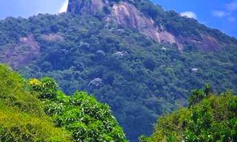 Imagem 6: Apartamento, 72 m2 - Laranjeiras - venda