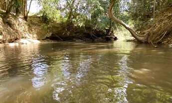 Imagem 2: Excelente Chácara em Bela Vista!