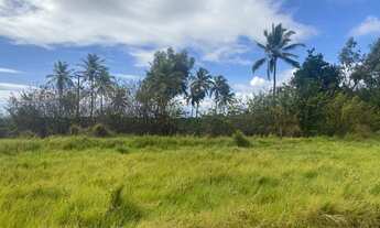 Imagem 4: Lote/Terreno para venda com 7000 metros quadrados em Praia Bela - Pitimbu - PB