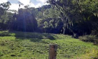 Imagem 6: Lindo terreno a apenas 3km do centro de Anitápolis -11hectares