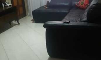 Imagem 3: Casa Sobrado à venda em São Paulo/SP