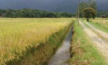 Imagem 4: Chácara à venda no Vila Nova