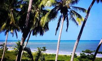 Imagem: Maragogi terreno beira mar e beira de BR