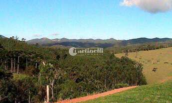 Imagem 7: Santo Antônio do Pinhal - Sítio - Zona Rural
