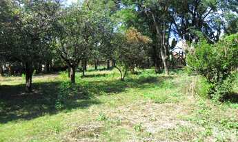 Imagem 5: Área para aluguel, Trevo - Belo Horizonte/MG