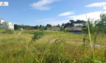 Imagem: Terreno todo cercado - Recanto