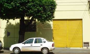 Imagem 2: Araçatuba - Sala Comercial - Santana