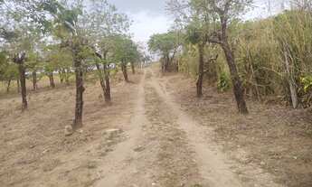 Imagem 2: MV20 Com area total de 500m