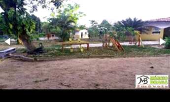 Imagem 3: Granja no Mendes com 8 há. Linda casa.20 baías. Curral. Riacho perene