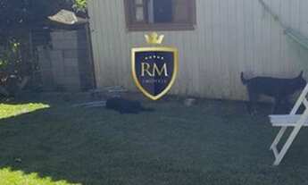 Imagem 5: Casa em Ponta das Canas