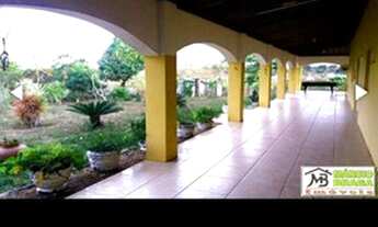 Imagem 6: Granja no Mendes com 8 há. Linda casa.20 baías. Curral. Riacho perene