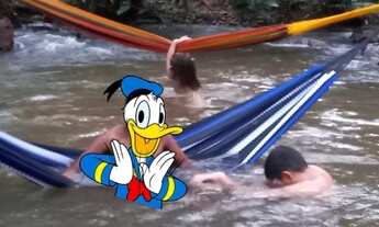 Imagem: Alugo Um Excelente Chácara em Taquaruçu