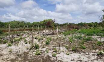 Imagem 2: Lote/Terreno para venda pium- Natal - Rio Grande do Norte