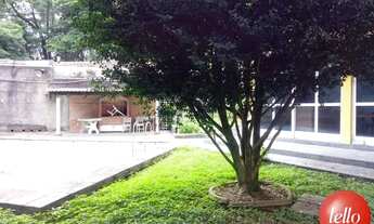 Imagem 7: São Paulo - Casa Padrão - Tucuruvi